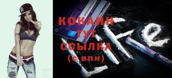 индика Зерноград