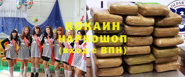 хмурый Лагань