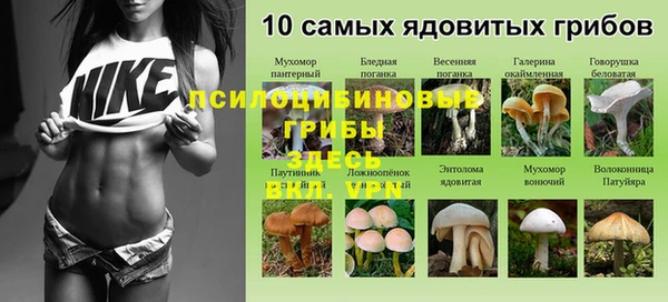 экстази Кукмор