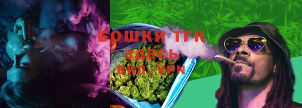 индика Зерноград