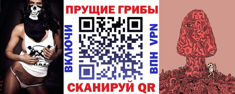 гидра зеркало  дарк нет Telegram  Галлюциногенные грибы Magic Shrooms  Гусиноозёрск 